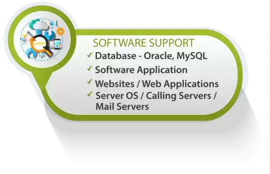 Oracle, MySQL, Website Maintenance